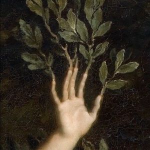 Meet your Posher, Elaine